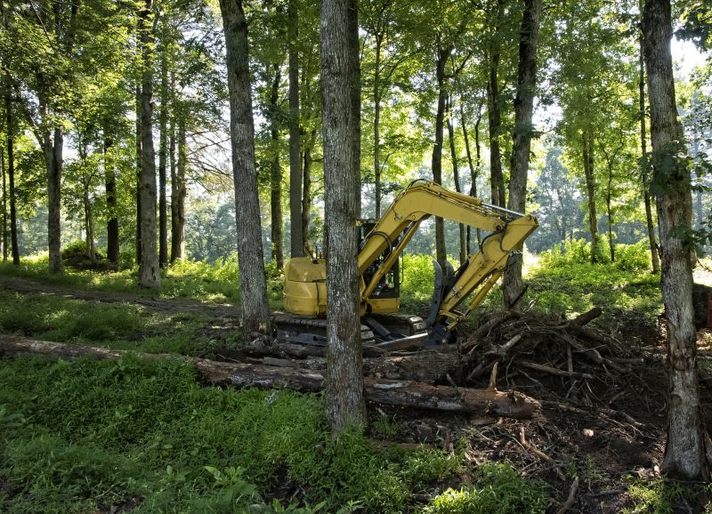 Land Clearing Service