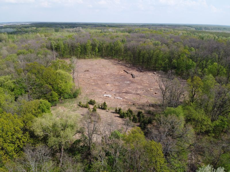 Ground Clearing