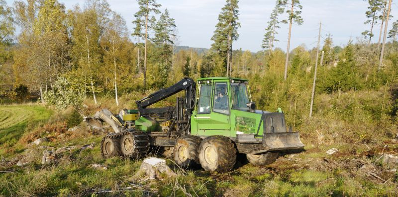 Tree Cutting Machinery