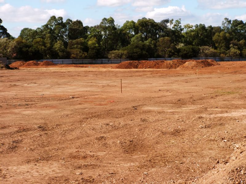 Land Clearing in Progress