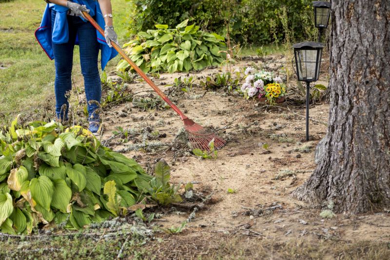 Contact About Ground Clearing